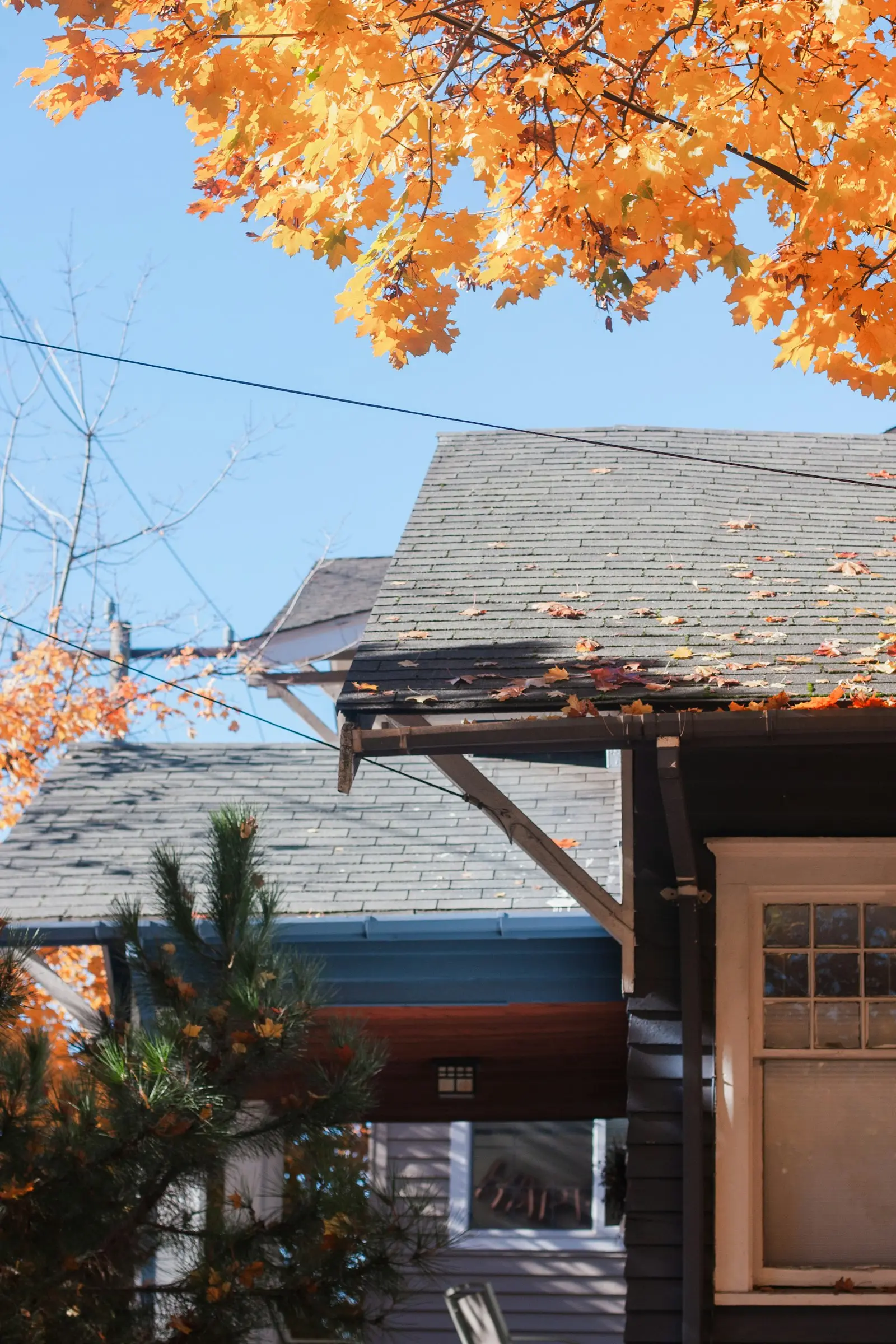 Close up of weathered, storm damaged shingles